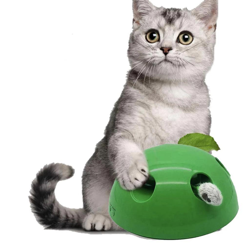 Motion Toy for Cats