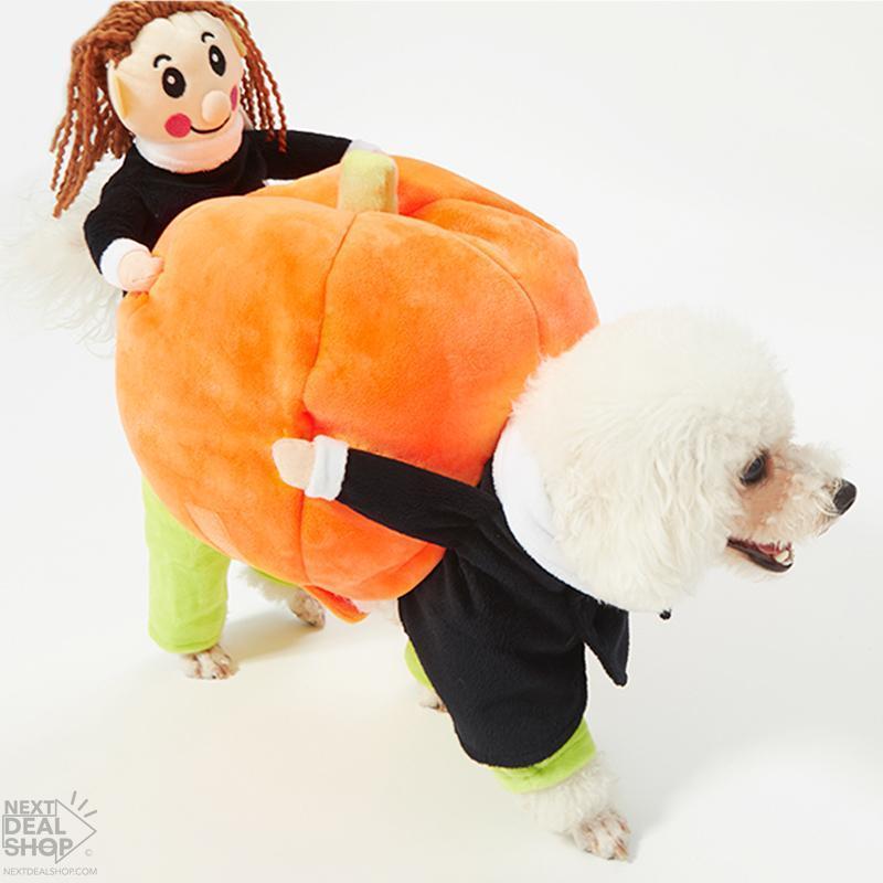 Fantasy Dog Carrying Pumpkin