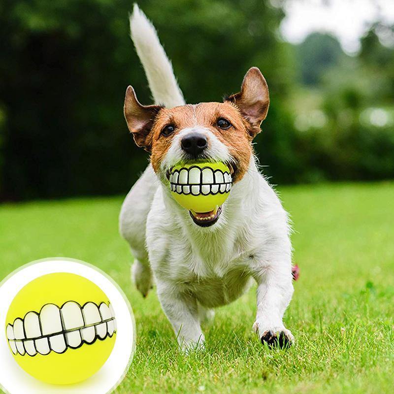 Pet Ball with Funny Teeth