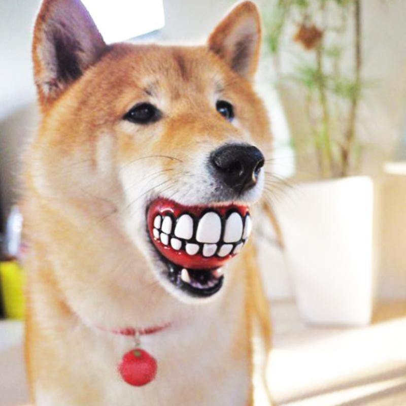 Pet Ball with Funny Teeth