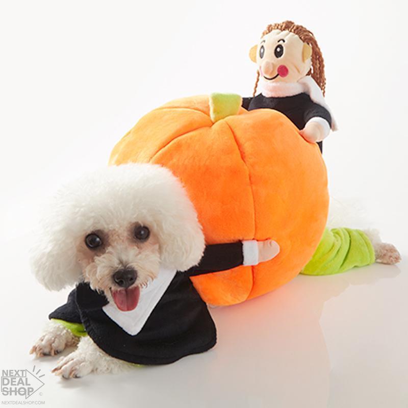 Fantasy Dog Carrying Pumpkin